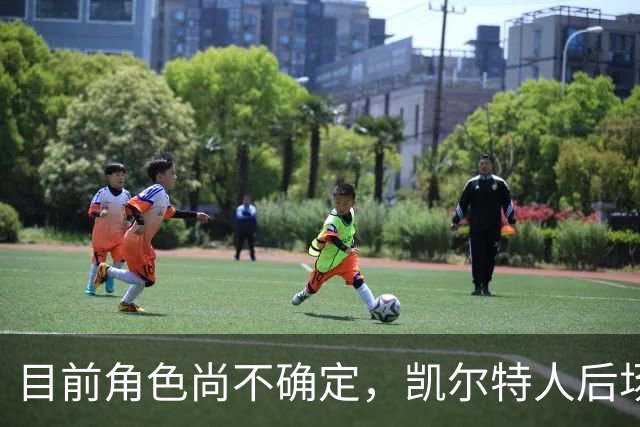 目前角色尚不确定，凯尔特人后场大将可能在先发和替补之间交替？